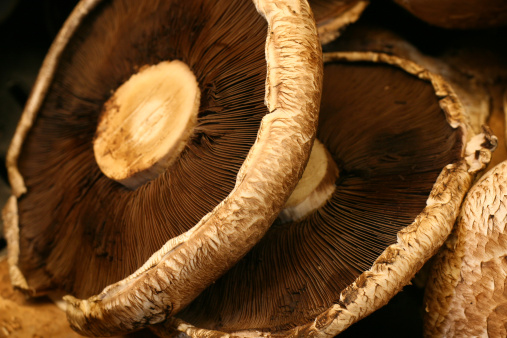 Inside-Out Portabello Mushroom Burgers