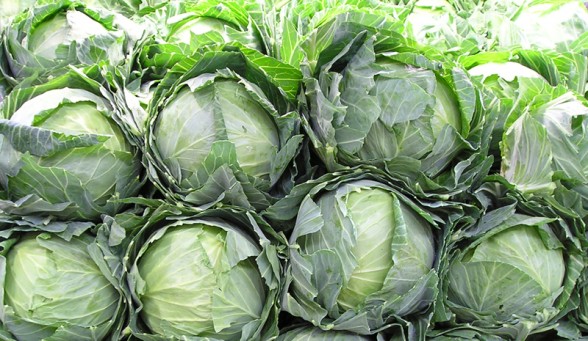 Bountiful Brassica Juice Bountiful Brassica Juice