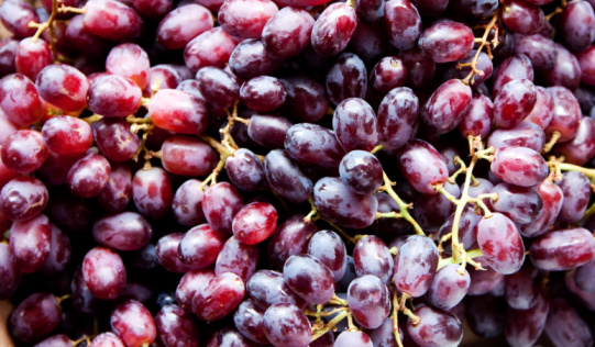 grapes101070390