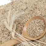 Gluten