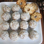 Pineapple Coconut Maca Bits