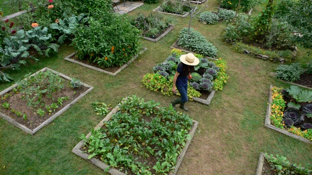 Planning A Kitchen Garden Site And, How To Start A Large Vegetable Garden
