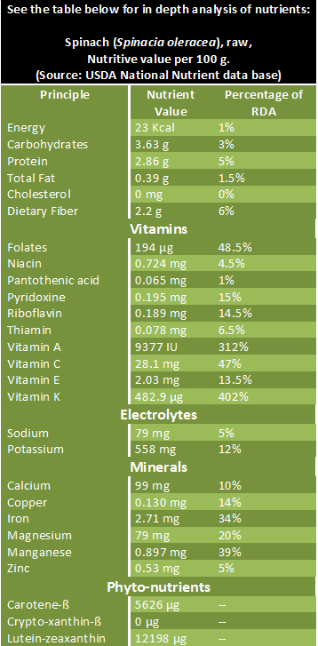 Nutrients in Spinach