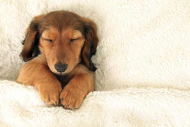 14 Ways To Get The Best Night S Sleep