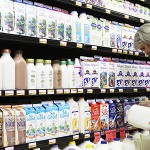 Dairy vs. Non Dairy Milks