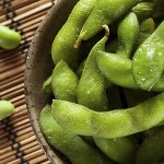 Plant Protein Sources