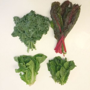 Four leafy greens