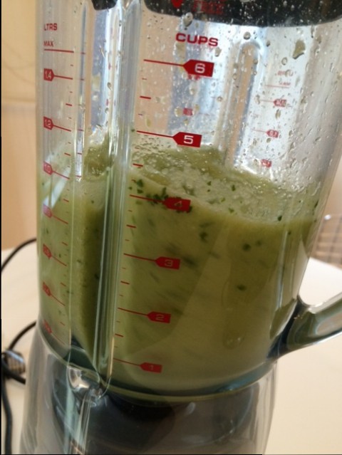 Melodramatisch Doorweekt Loodgieter We Tried It: Juicing Without a Juicer - Joe Cross