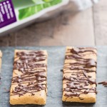 No Bake Protein Bars