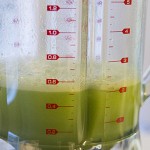 Juicing with Diabetes