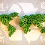 Tips for Going Green