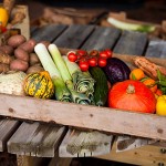 Farmers market